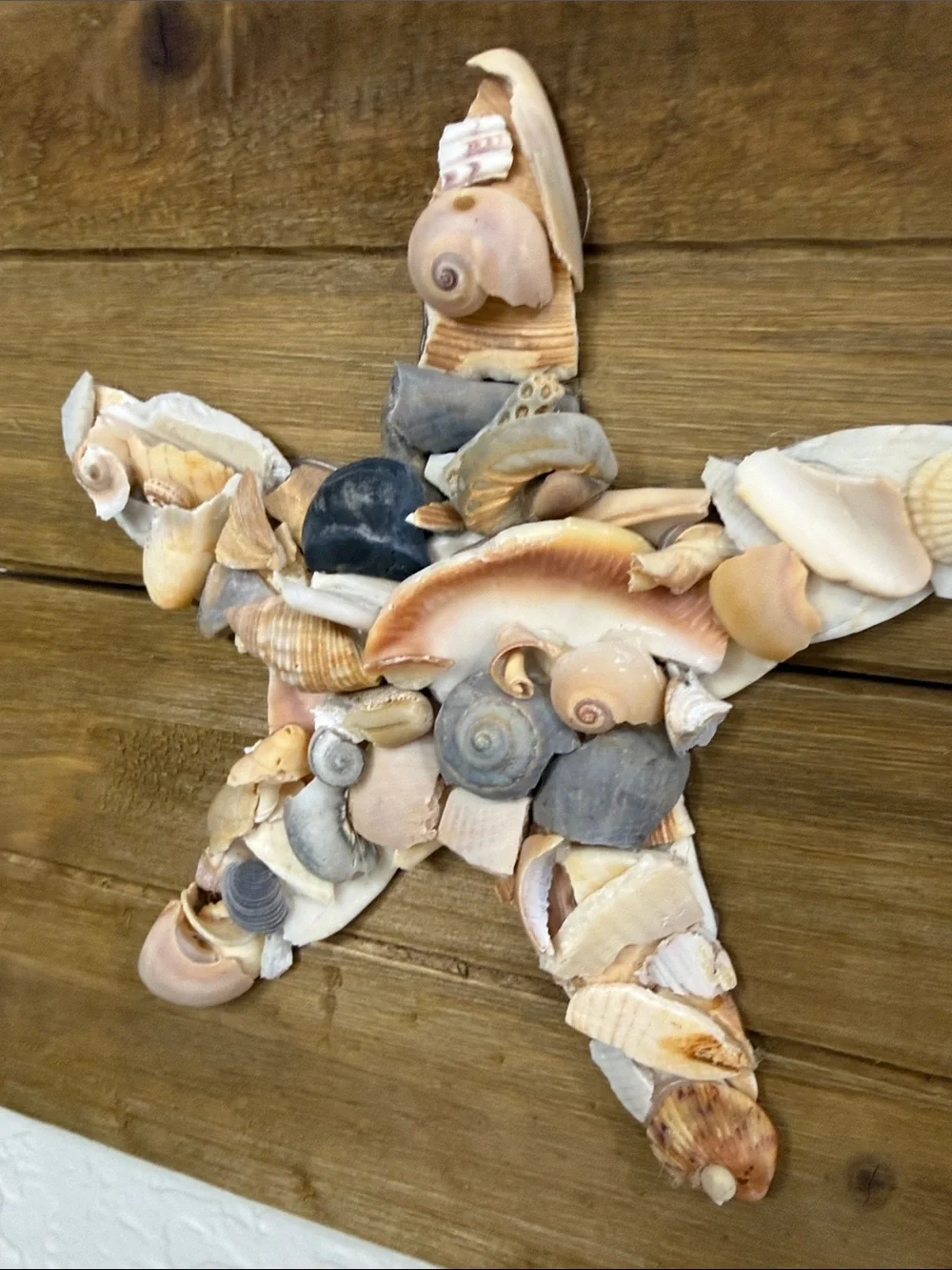 Coastal Seashell Star Wall Plaque - Natural Wood & Cream Shells